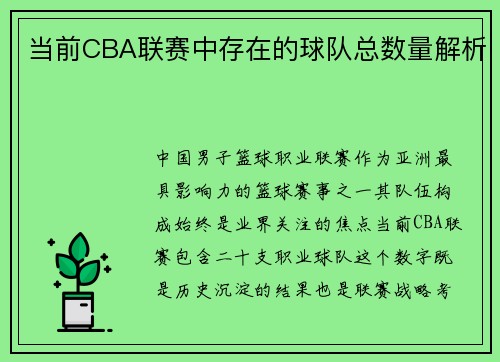 当前CBA联赛中存在的球队总数量解析