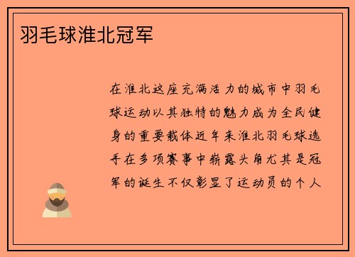 羽毛球淮北冠军
